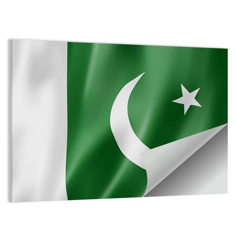 Waving Pakistan Flag Wall Art