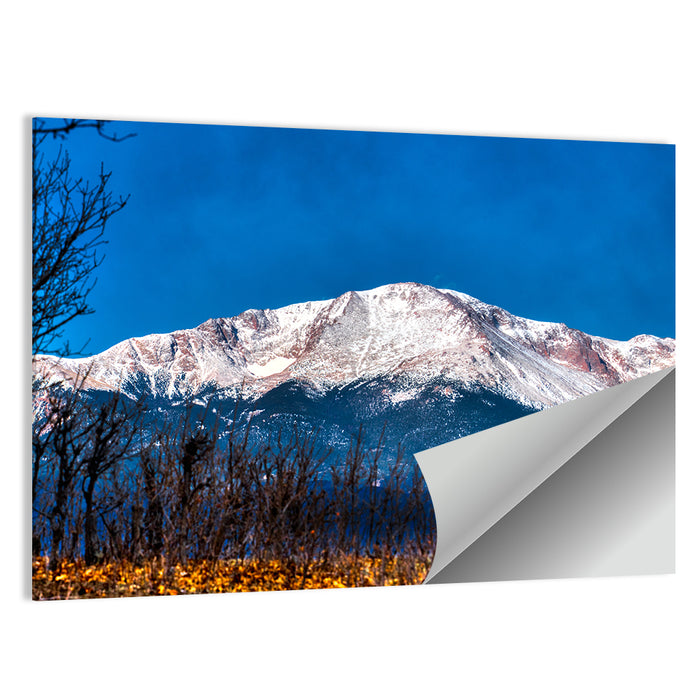 Pikes Peak, Colorado Wall Art as a poster print