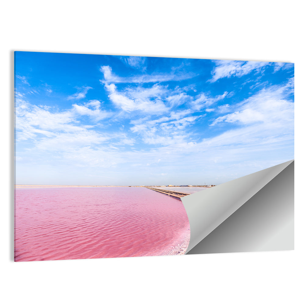 Pink Salt Lake Boardwalk Wall Art