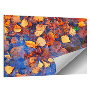 Fall Season Leaves In Rain Puddle Wall Art