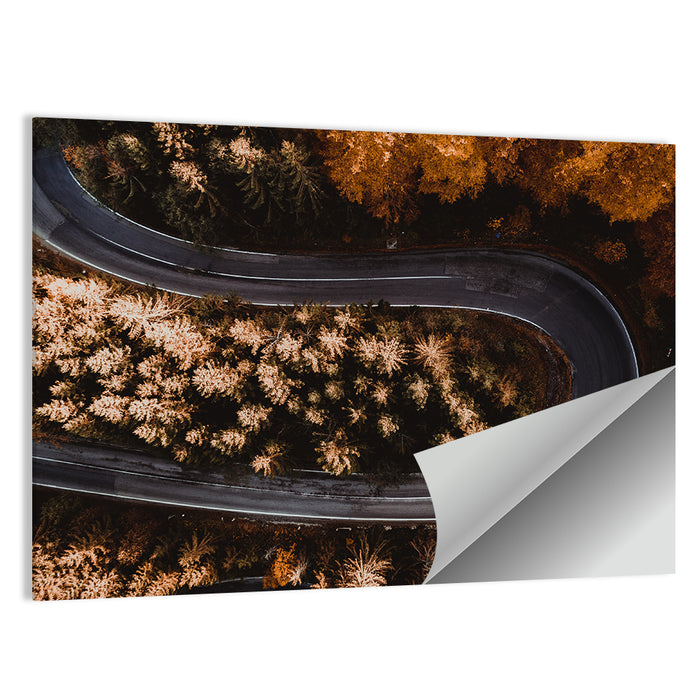 Hairpin Turn in Autumn Forest Wall Art as a poster print