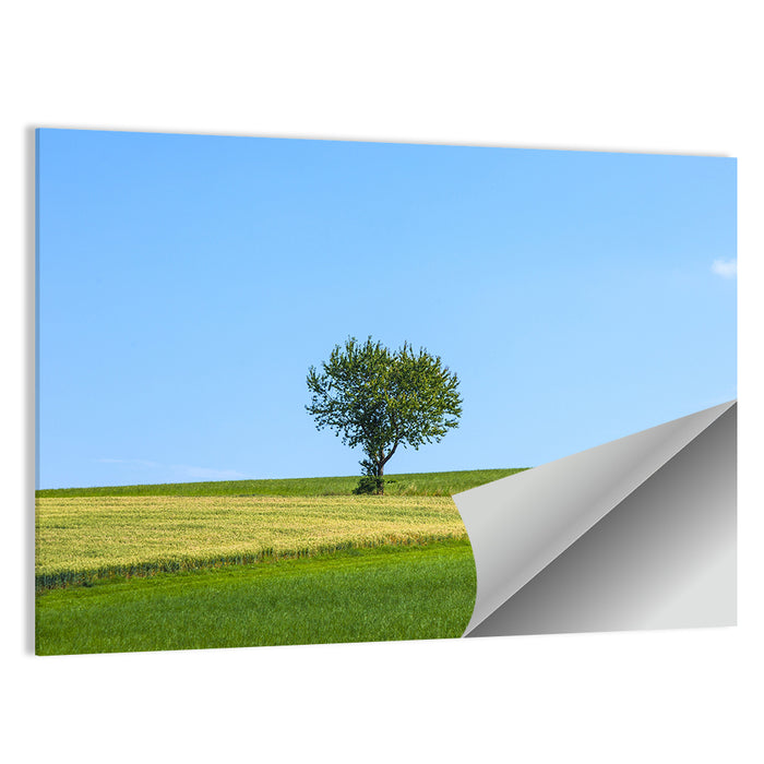 Solitary Tree on Rolling Meadow Wall Art as a poster print