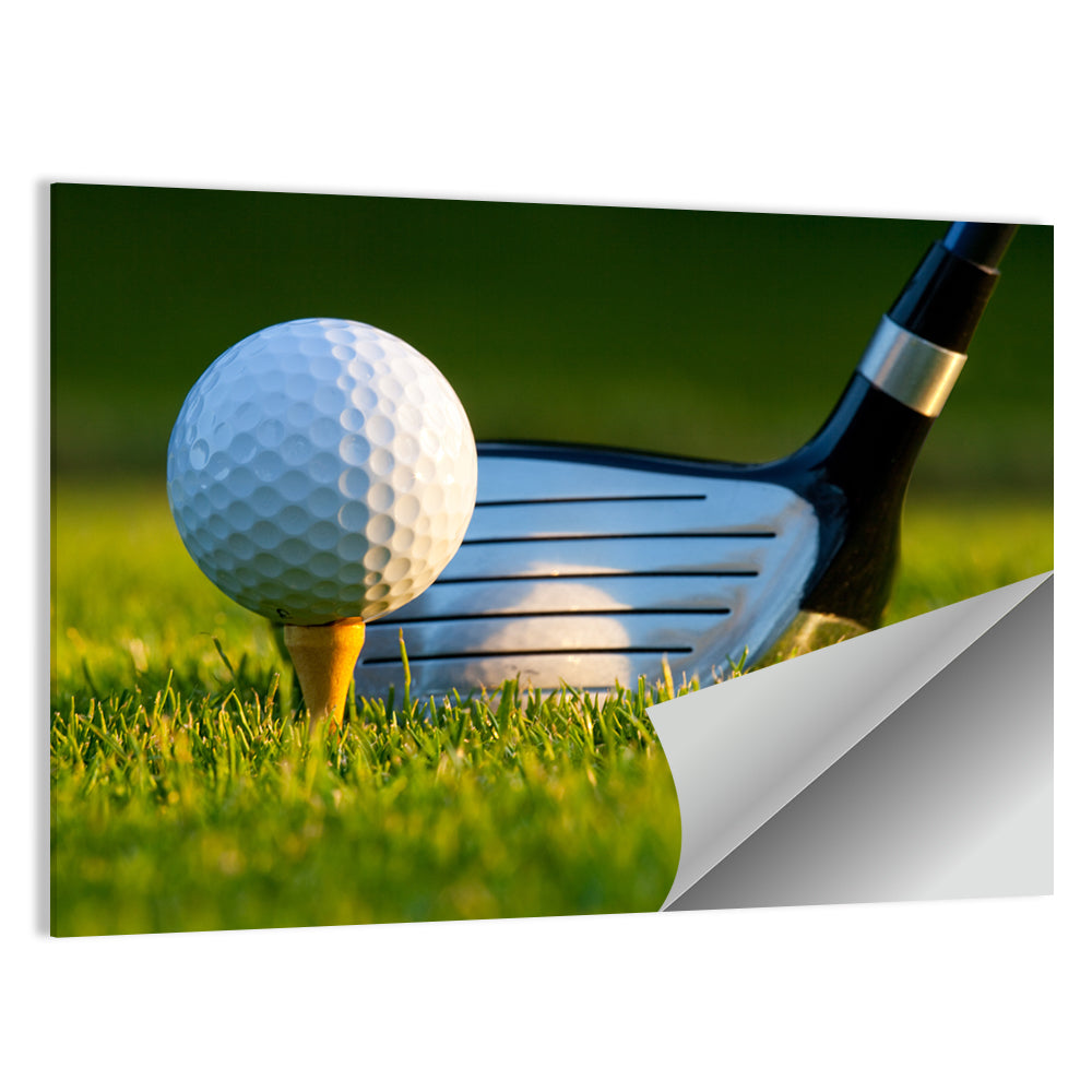 Golf Ball and Club Close Up Wall Art