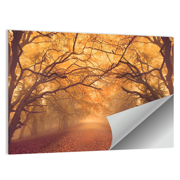 Golden Autumn Forest Path Wall Art as a poster print