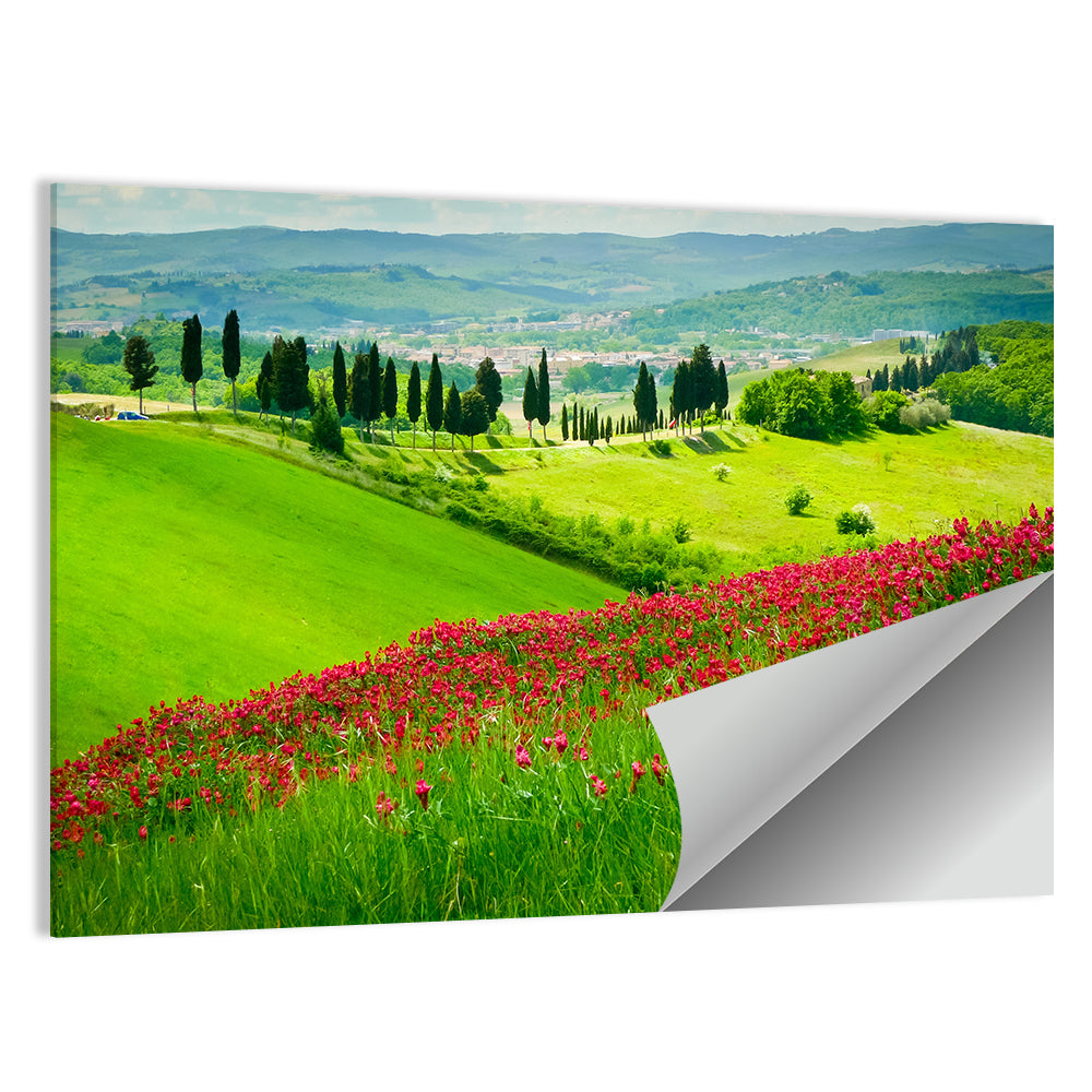 Tuscany Hill Covered By Red Flowers Wall Art