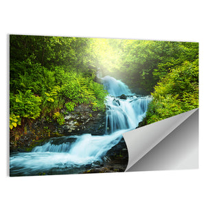 Creek In Forest Wall Art