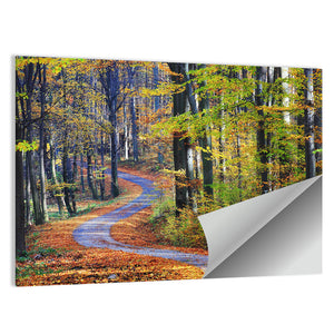 Winding Path Through Autumn Forest Wall Art