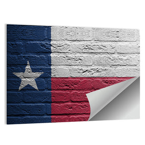 Isolated Texas Flag Wall Art