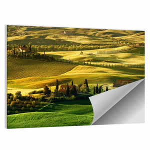 Fields Of Tuscany Wall Art