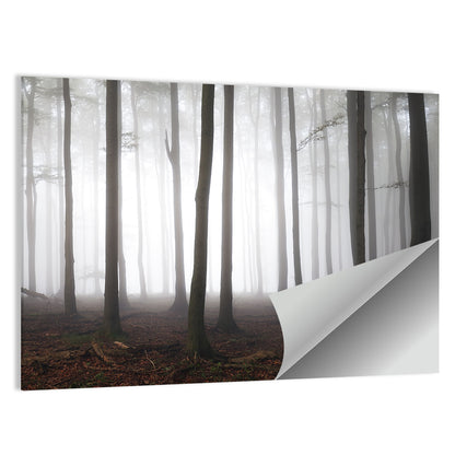 Foggy Forest  Wall Art