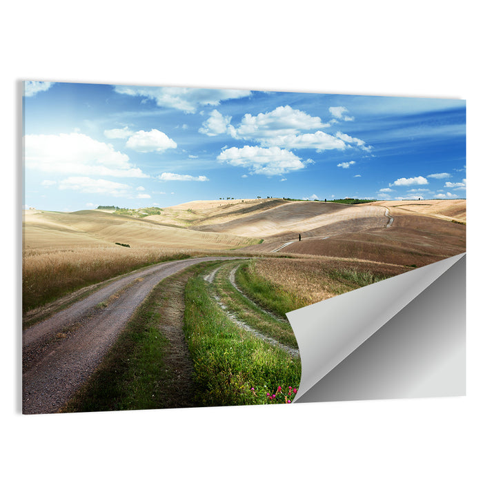 Dirt Road Through Tuscany Wall Art as a poster print
