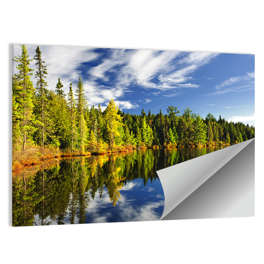 Lake Shore at Algonquin Park Wall Art