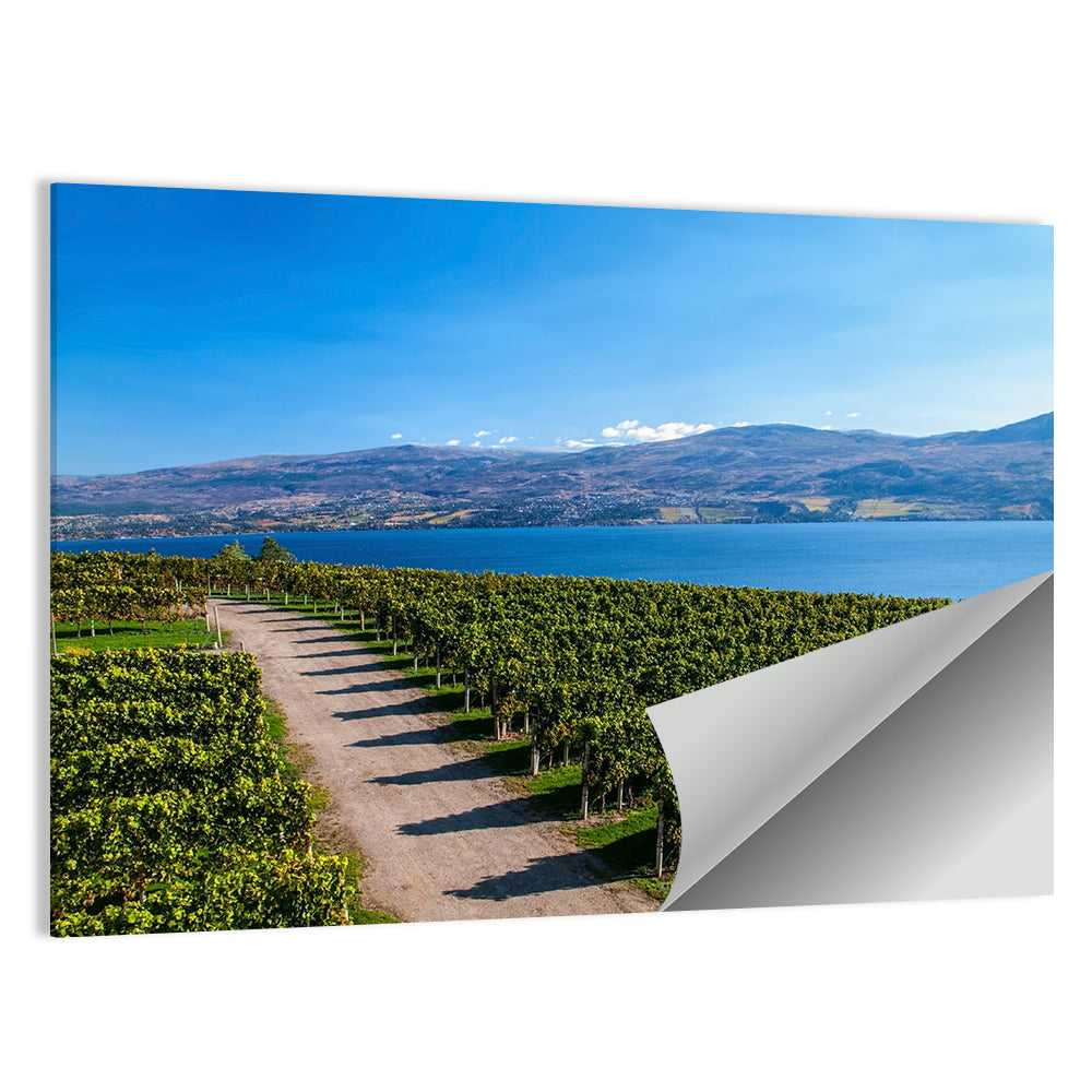 Lake Okanagan Vineyard Path Wall Art