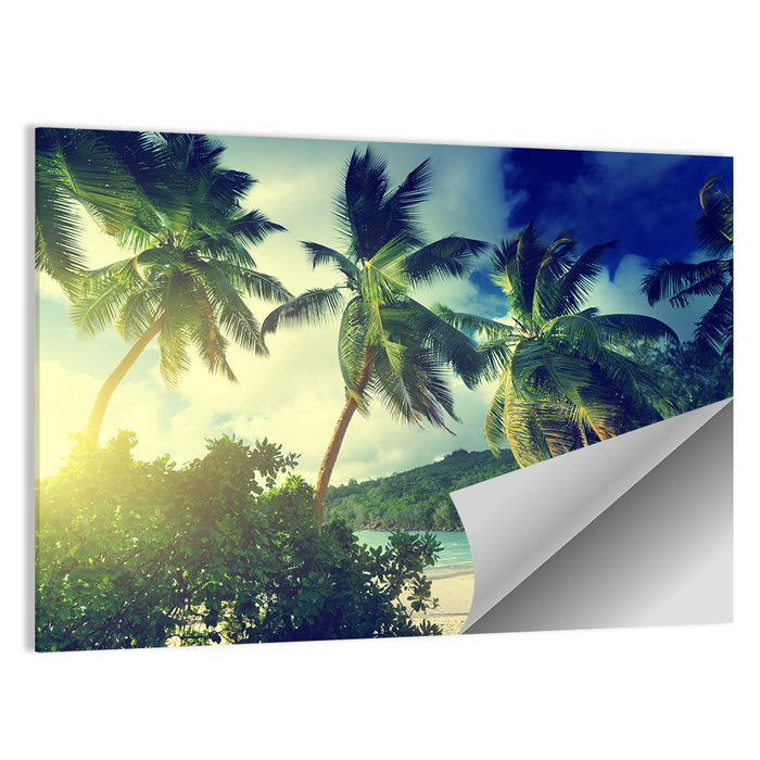 Takamaka Beach Sunset Wall Art as a poster print