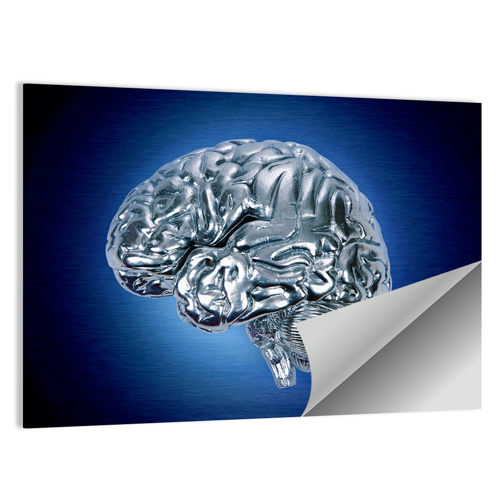 Chrome Brain Side Profile Wall Art