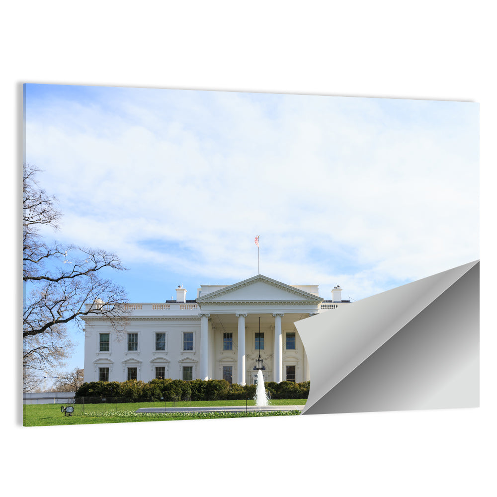 The White House In Washington DC Wall Art