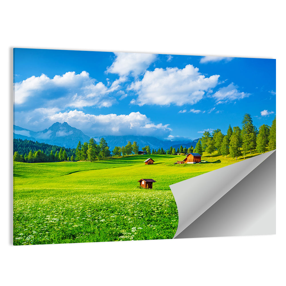 Alpine Valley Meadow, Austria Wall Art