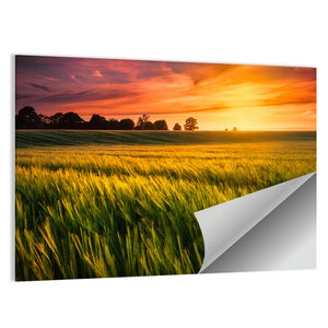 Sunset Over a Wheat Field Wall Art