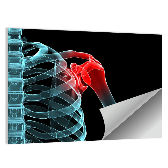 Lateral Shoulder X-ray Wall Art as a poster print