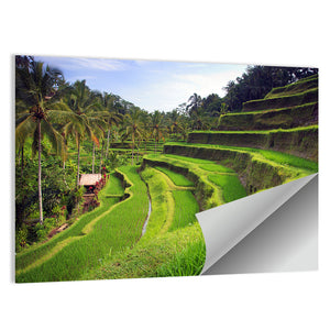 Terrace Rice Fields In Tegallalang Wall Art