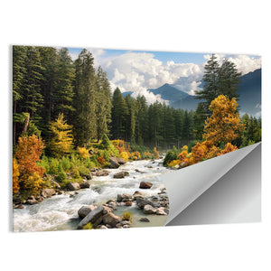 Stream & Forest In Autumn Wall Art