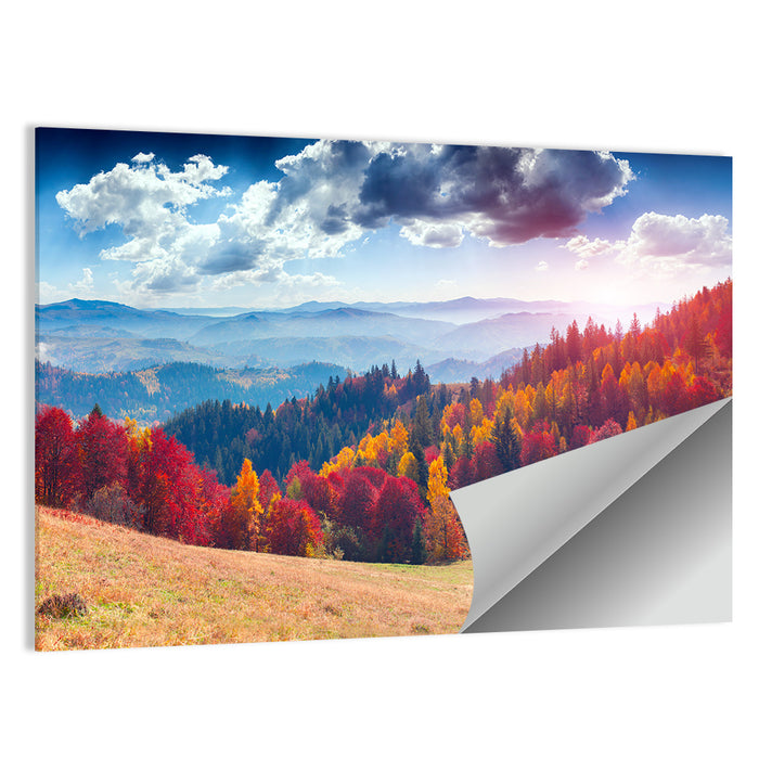 Carpathian Autumn Sunburst Ukraine Wall Art as a poster print