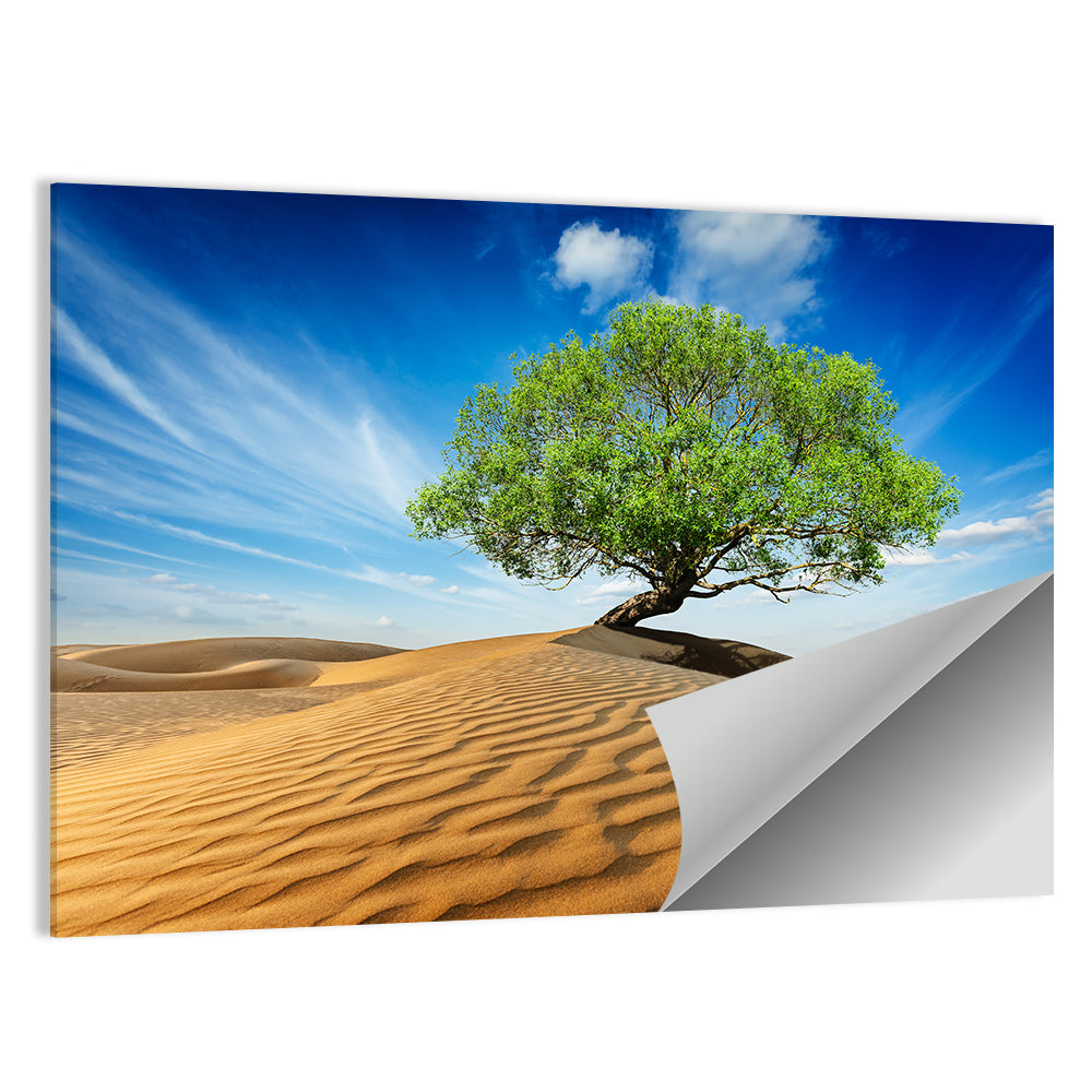 Solitary Green Tree on Sand Dune Wall Art
