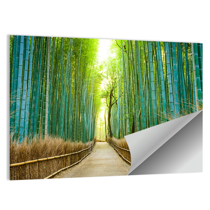 Arashiyama Bamboo Path, Kyoto Wall Art as a poster print