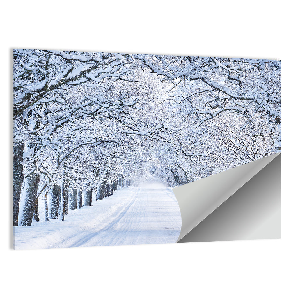 Snowy Morning Alley Wall Art