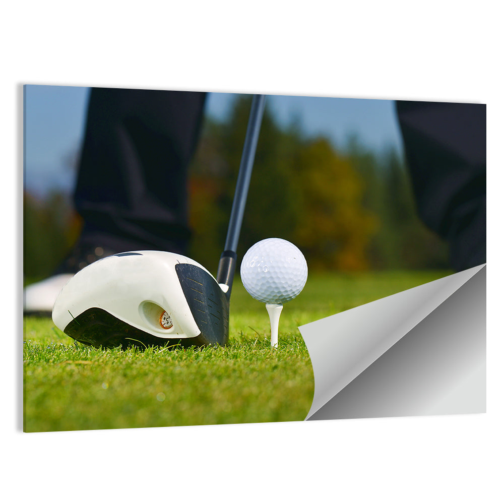 Golf Ball and Club Close Up Wall Art