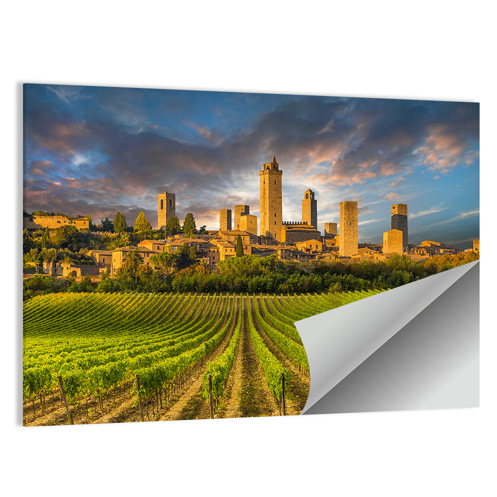 Vineyards of San Gimignano Wall Art