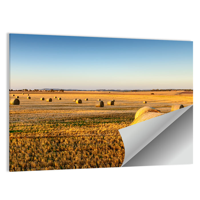 Hay Bales at Sunset Wall Art as a poster print