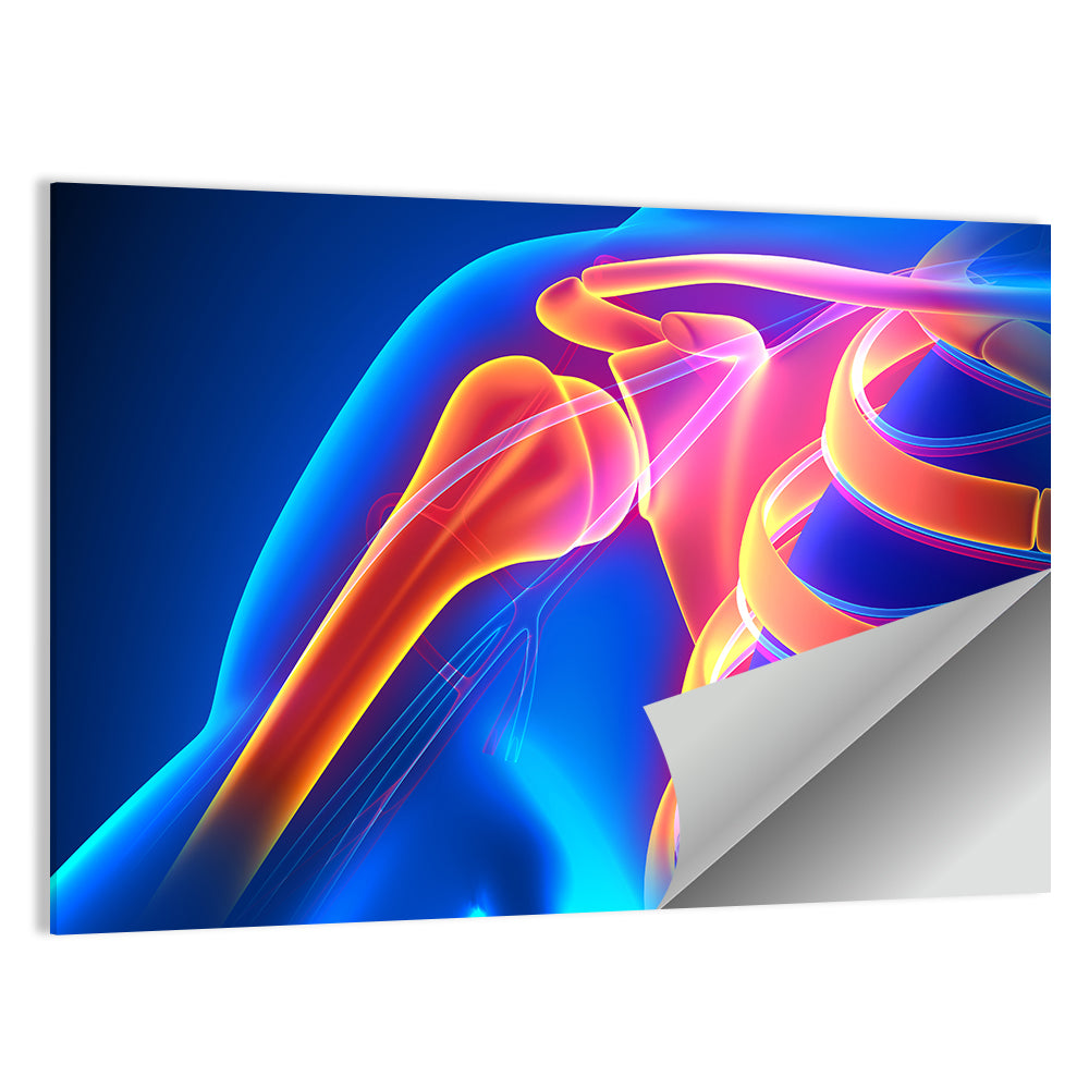 Shoulder Pain Anatomy Study Wall Art
