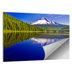 Trillium Lake & Mt Hood Wall Art