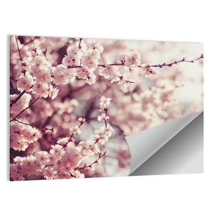 Spring Cherry Blossoms Wall Art