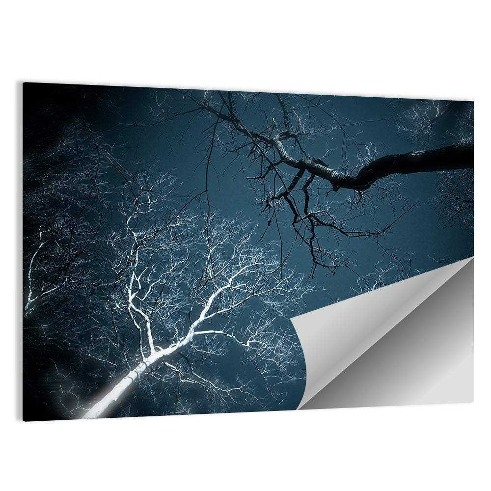 Twilight Canopy with Glowing Bark Wall Art