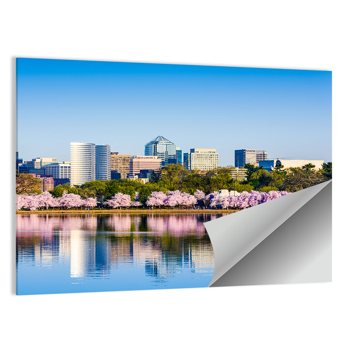 Tidal Basin Washington D.c. Cherry Blossoms Wall Art as a poster print