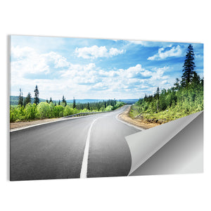 Road In Mountain Forest Wall Art