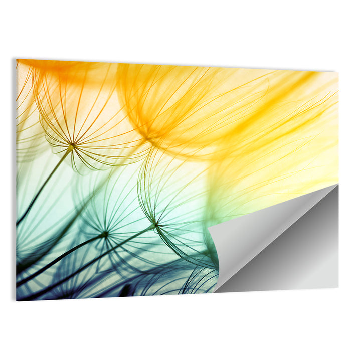 Sunlit Dandelion Seed Macro Wall Art as a poster print