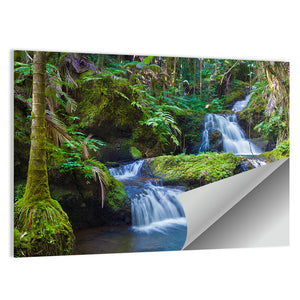 Tropical Rainforest In Hawaii Wall Art