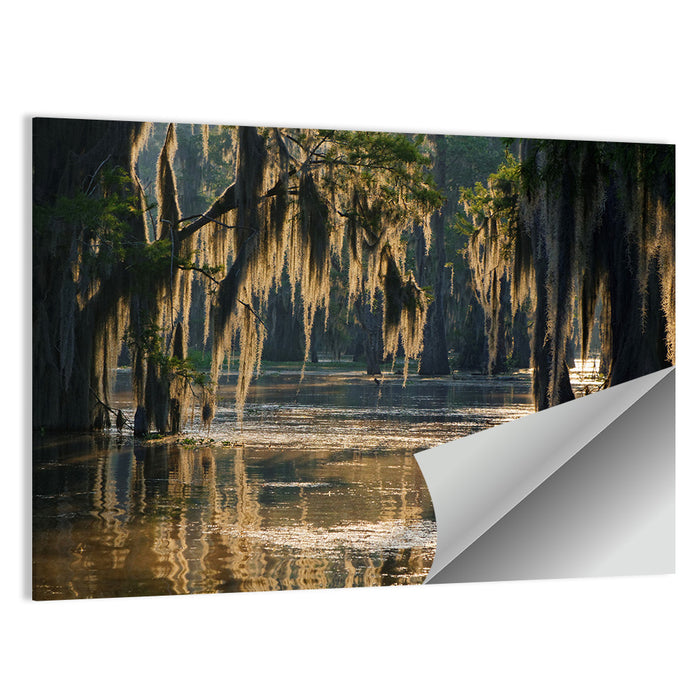 Spanish Moss in Louisiana Bayou Wall Art as a poster print