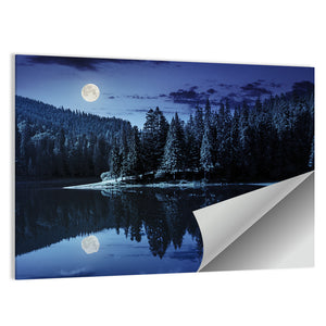 Lake Near The Pine Forest Wall Art