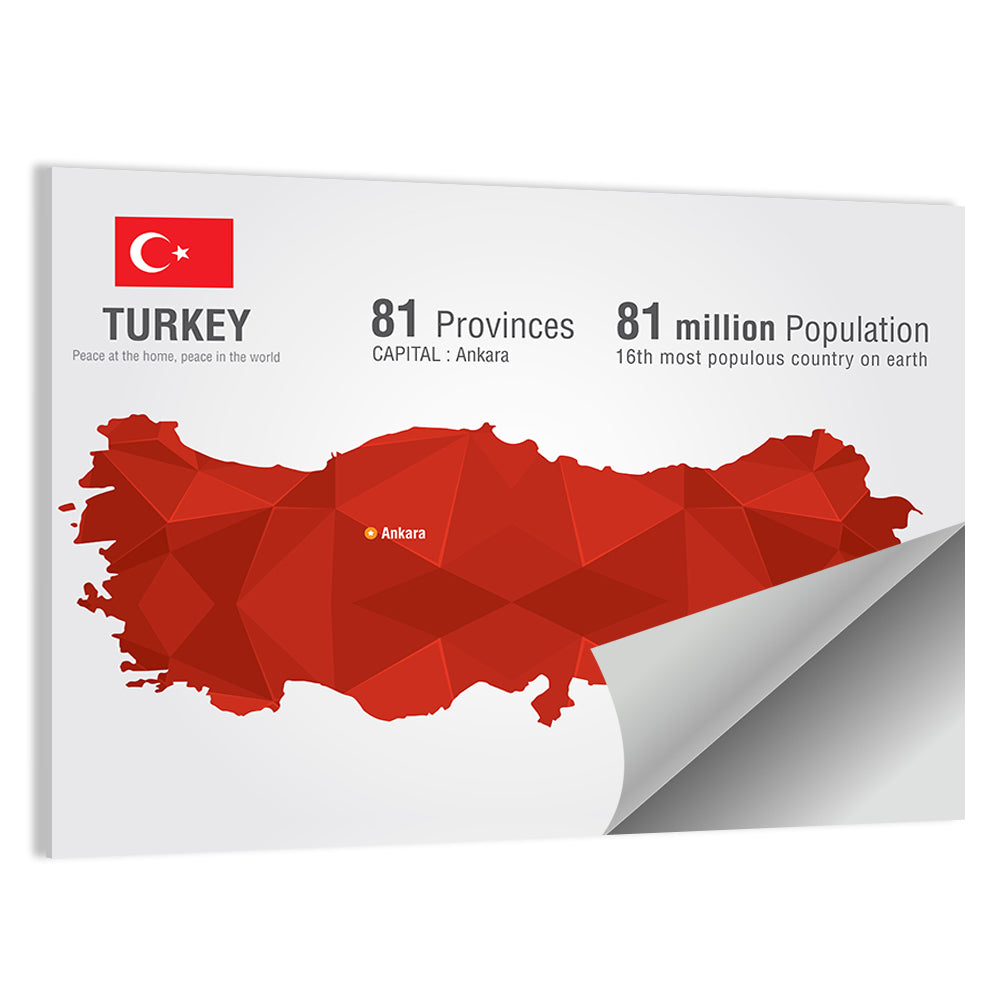 Turkey Map Infographic Wall Art