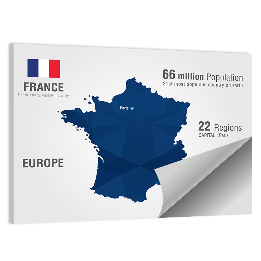 Geometric France Map with Flag Wall Art