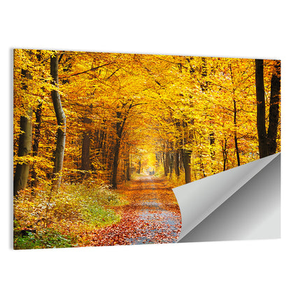 Road In Autumn Forest Wall Art