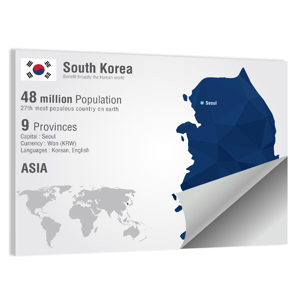 South Korea Infographic Map Wall Art