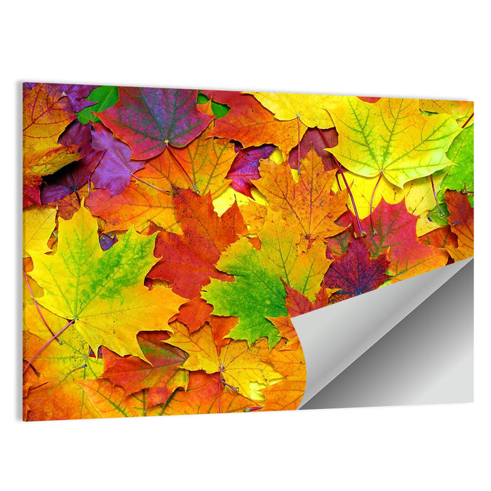 Colorful Autumn Leaves Wall Art as a poster print