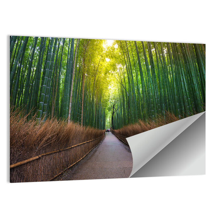 Kyoto Bamboo Forest Wall Art as a poster print