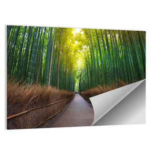 Bamboo Forest In Kyoto Wall Art