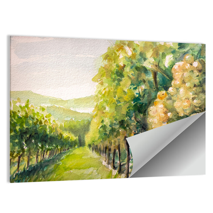 Sunlit Vineyard Watercolor Wall Art as a poster print